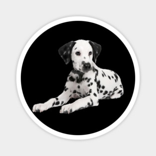 Dalmatian Dog, Love Dalmatians Magnet