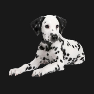Dalmatian Dog, Love Dalmatians T-Shirt