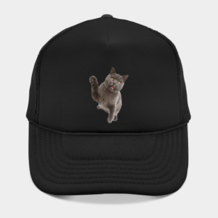 Cute Black Cat, Cat Lover Hat