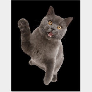 Cute Black Cat, Cat Lover Posters and Art