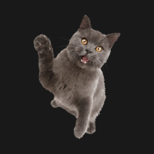 Cute Black Cat, Cat Lover T-Shirt