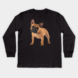 French Bulldog, Frenchie Lover, French Bulldogs Kids Long Sleeve T-Shirt