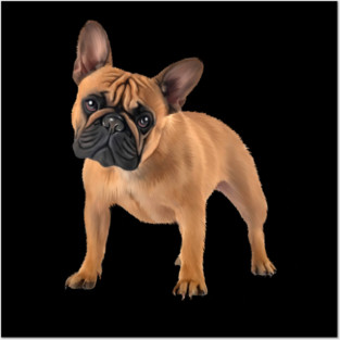 French Bulldog, Frenchie Lover, French Bulldogs Posters and Art