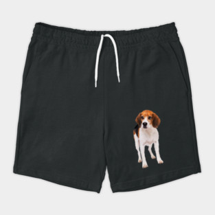 Beagle Dog, Love Beagle Dogs Shorts