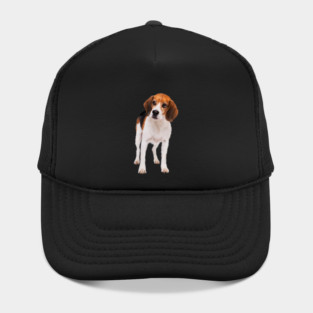 Beagle Dog, Love Beagle Dogs Hat