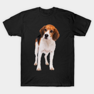 Beagle Dog, Love Beagle Dogs T-Shirt