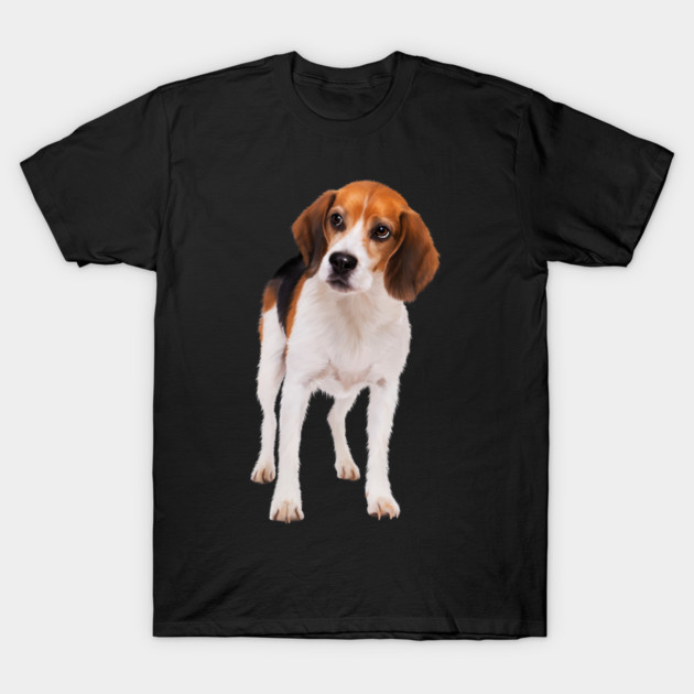 Beagle Dog, Love Beagle Dogs T-Shirt by logiamerch