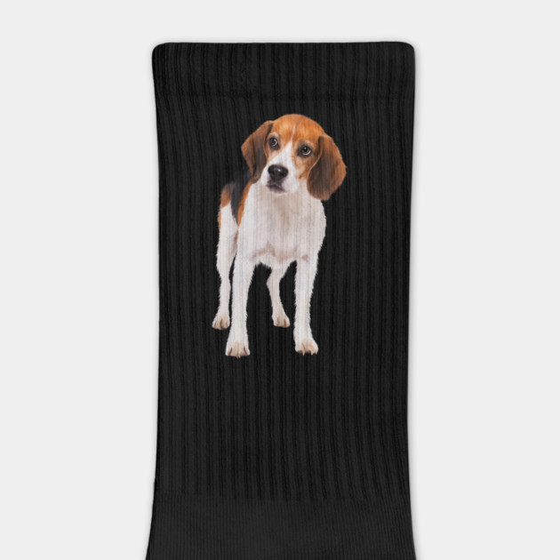 Beagle Dog, Love Beagle Dogs by logiamerch