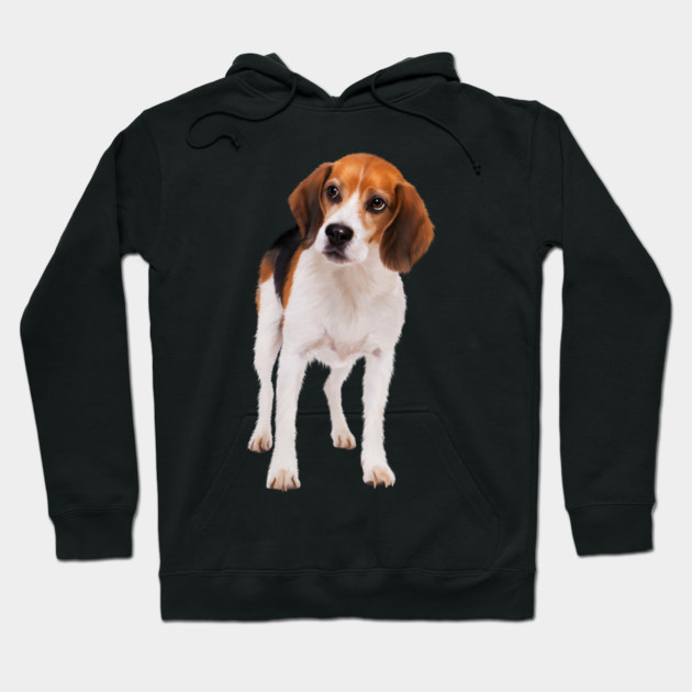 Beagle Dog, Love Beagle Dogs Hoodie by logiamerch