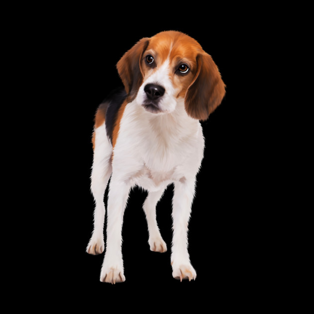 Beagle Dog, Love Beagle Dogs by logiamerch