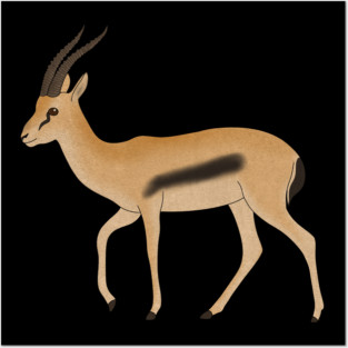 Gazelle Animal, African  Antilope Posters and Art