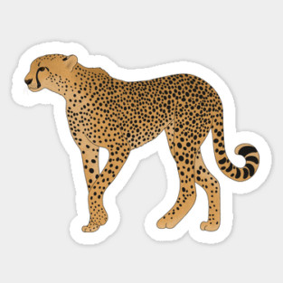 African Animal, Cheetah Cat Sticker