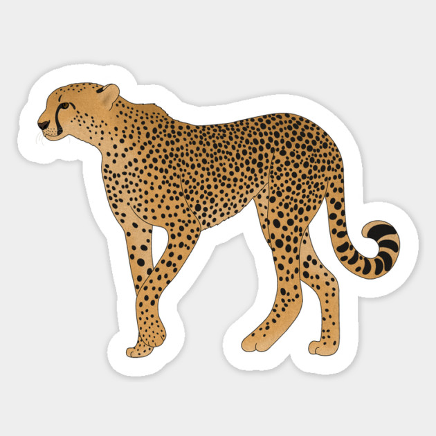 African Animal, Cheetah Cat Sticker by logiamerch