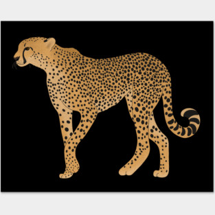 African Animal, Cheetah Cat Posters and Art