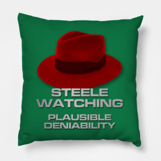 Plausible Deniability Pillow