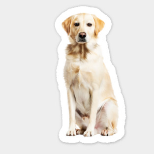 Labrador Retriever Dog, Lab Dog Lover Magnet