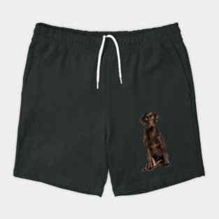 Brown labrador Retriever Dog, Lab Dog Lover Shorts