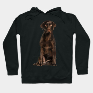 Brown labrador Retriever Dog, Lab Dog Lover Hoodie