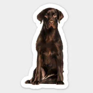 Brown labrador Retriever Dog, Lab Dog Lover Sticker