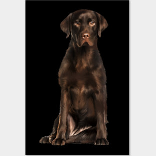 Brown labrador Retriever Dog, Lab Dog Lover Posters and Art