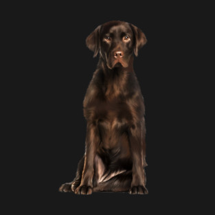 Brown labrador Retriever Dog, Lab Dog Lover T-Shirt