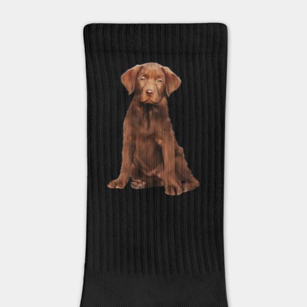 Brown labrador Retriever Dog Puppy, Lab Dog Lover by logiamerch