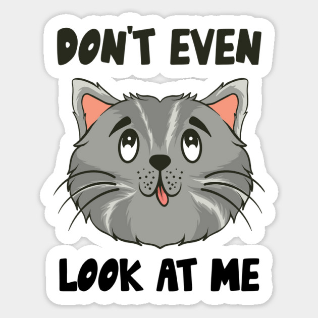 Don't Even Look At Me Cute Cat Gift Sticker by The WYLD Tribe