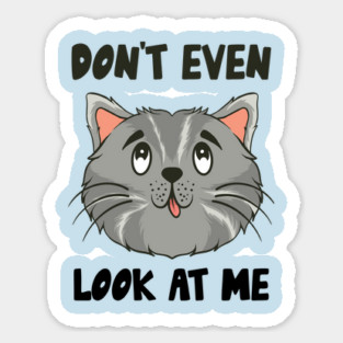 Don't Even Look At Me Cute Cat Gift Magnet