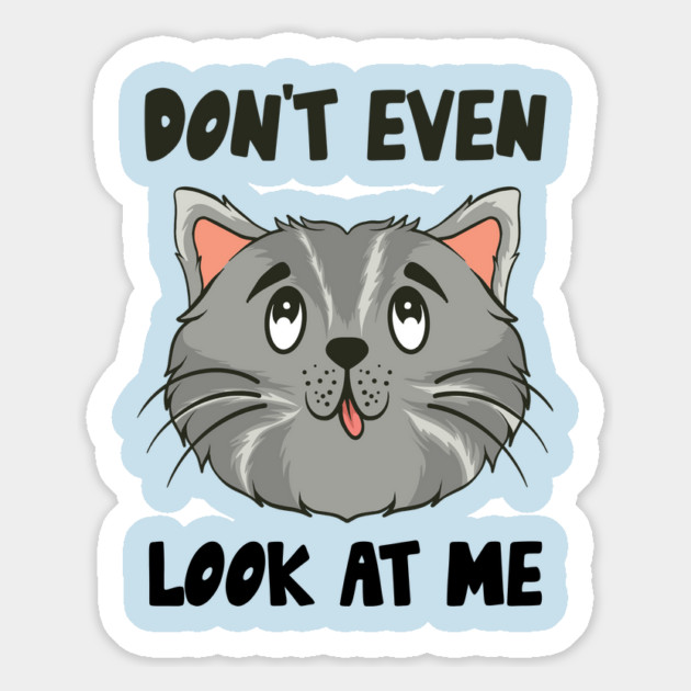 Don't Even Look At Me Cute Cat Gift Magnet by The WYLD Tribe