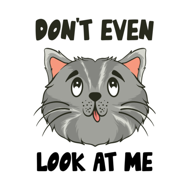 Don't Even Look At Me Cute Cat Gift by The WYLD Tribe