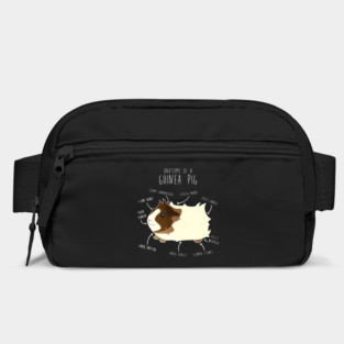 Abyssinian Guinea Pig Anatomy Bag