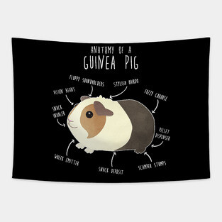 Guinea Pig Anatomy Tapestry