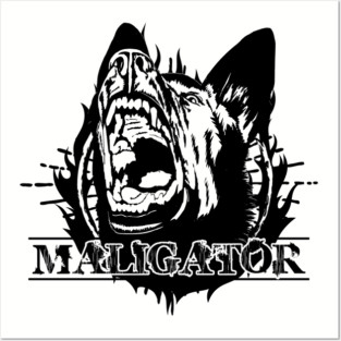 Maligator - Malinois - Belgian shepherd Posters and Art