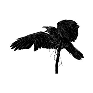 The Hermit Magazine's Raven T-Shirt