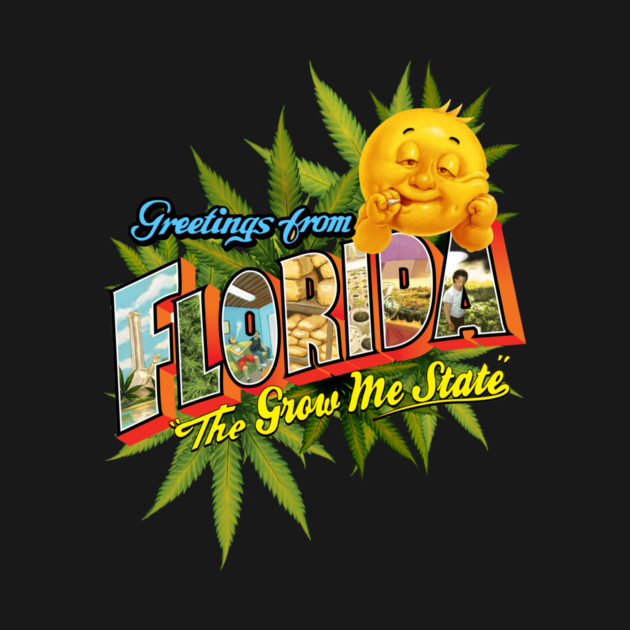 Greetings From Florida by Luis Diaz