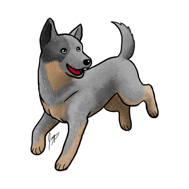 Dog - Australian Cattle Dog - Blue Heeler by Jen's Dogs Custom Gifts and Designs