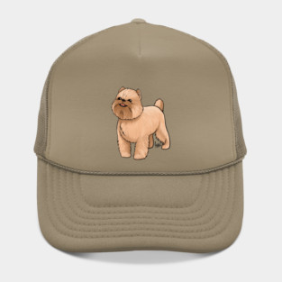Dog - Brussell's Grifon - Tan Hat