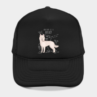 White Siberian Husky Dog Anatomy Hat
