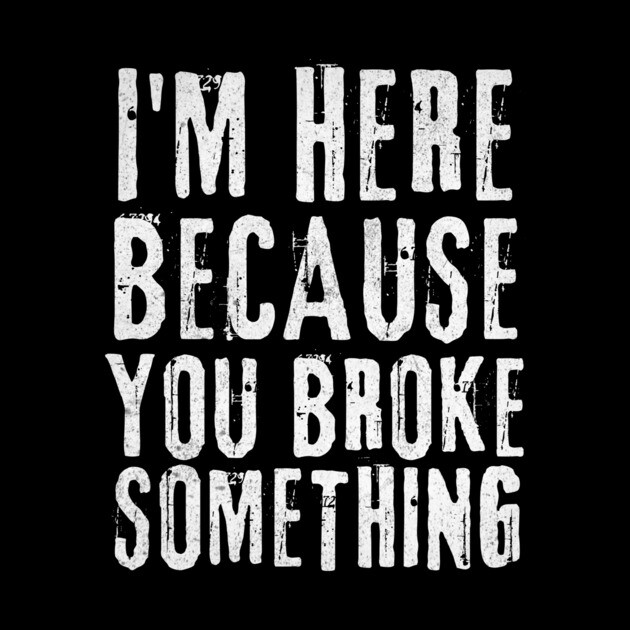 I'm Here Because You Broke Something by The WYLD Tribe