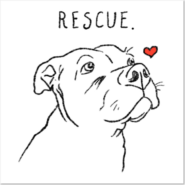 Rescue Dog, Pitbull, Rescue Mom, Adopt Don't Shop Pitbull