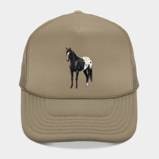 Black Quarter Horse Stallion Appaloosa Hat