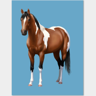 Brown Bay Quarter Horse Pinto Paint Horse Stallion Posters and Art