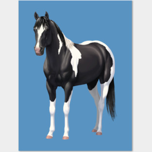 Beautiful Black Pinto Quarter Horse Paint Stallion Posters and Art
