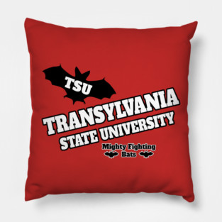 Transylvania State University Pillow