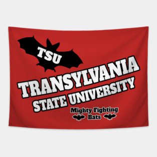 Transylvania State University Tapestry
