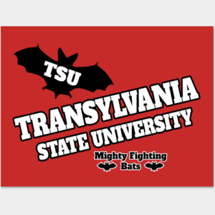 Transylvania State University Posters and Art