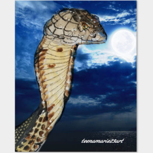 Snake Posters and Art