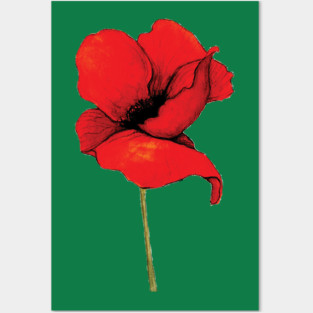 Red Poppy Posters and Art