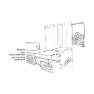 Silver jews - hospitalized for approaching perfection T-Shirt