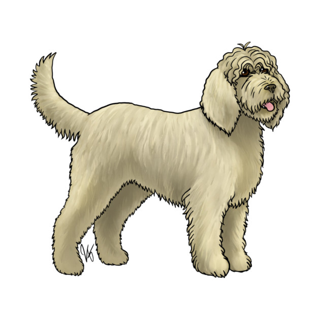 Dog - Otterhound - Wheaten by Jen's Dogs Custom Gifts and Designs
